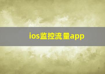 ios监控流量app