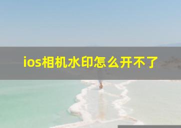 ios相机水印怎么开不了