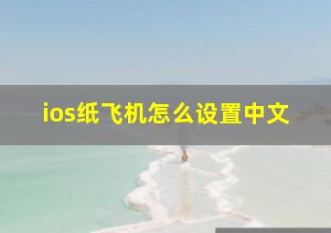 ios纸飞机怎么设置中文