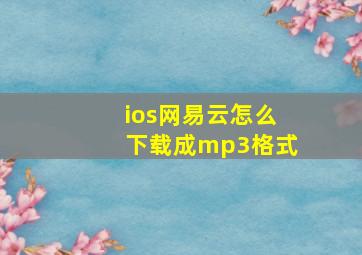 ios网易云怎么下载成mp3格式