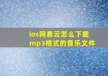 ios网易云怎么下载mp3格式的音乐文件