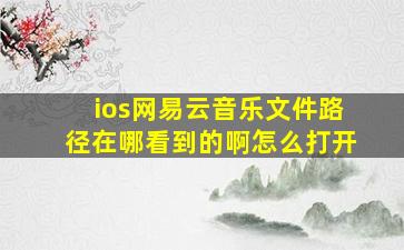 ios网易云音乐文件路径在哪看到的啊怎么打开