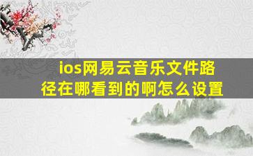 ios网易云音乐文件路径在哪看到的啊怎么设置