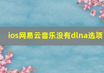 ios网易云音乐没有dlna选项