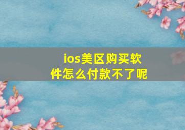 ios美区购买软件怎么付款不了呢