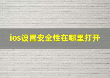 ios设置安全性在哪里打开