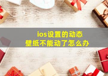 ios设置的动态壁纸不能动了怎么办