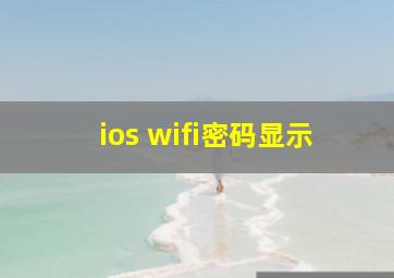 ios wifi密码显示