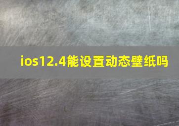 ios12.4能设置动态壁纸吗