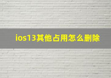 ios13其他占用怎么删除