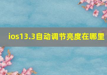 ios13.3自动调节亮度在哪里