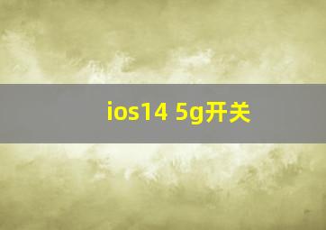 ios14 5g开关