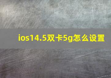 ios14.5双卡5g怎么设置