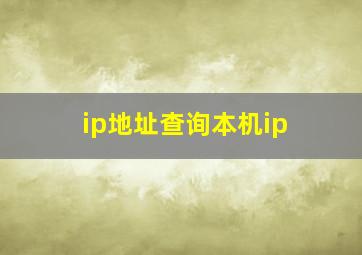 ip地址查询本机ip