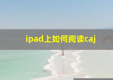 ipad上如何阅读caj