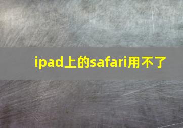 ipad上的safari用不了