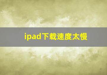 ipad下载速度太慢