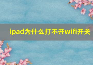 ipad为什么打不开wifi开关