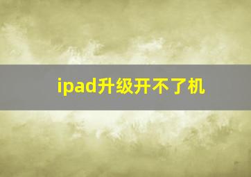 ipad升级开不了机