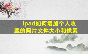 ipad如何增加个人收藏的照片文件大小和像素