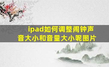 ipad如何调整闹钟声音大小和音量大小呢图片