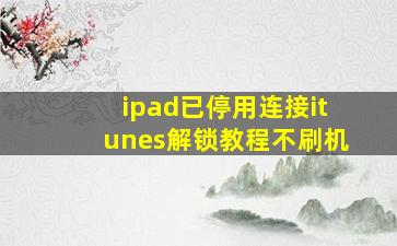 ipad已停用连接itunes解锁教程不刷机