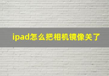 ipad怎么把相机镜像关了