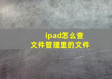 ipad怎么查文件管理里的文件