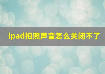 ipad拍照声音怎么关闭不了