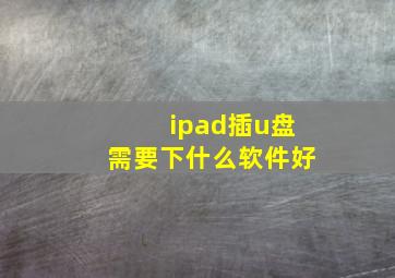 ipad插u盘需要下什么软件好