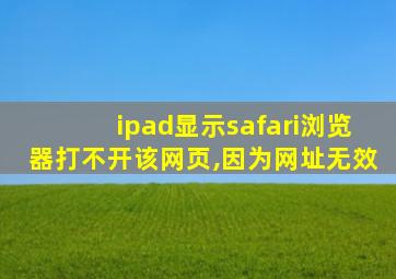 ipad显示safari浏览器打不开该网页,因为网址无效