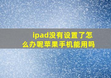 ipad没有设置了怎么办呢苹果手机能用吗