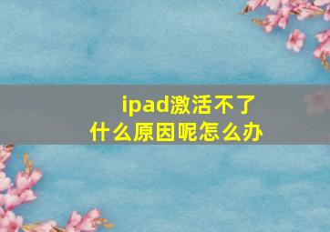 ipad激活不了什么原因呢怎么办