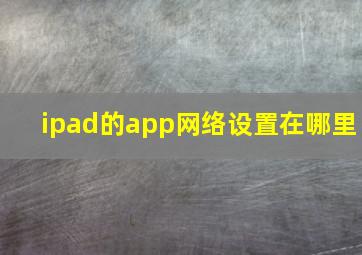 ipad的app网络设置在哪里