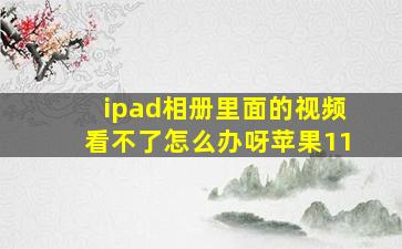 ipad相册里面的视频看不了怎么办呀苹果11