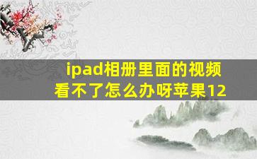 ipad相册里面的视频看不了怎么办呀苹果12