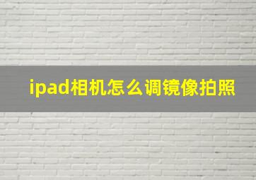 ipad相机怎么调镜像拍照