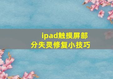 ipad触摸屏部分失灵修复小技巧