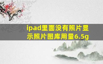 ipad里面没有照片显示照片图库用量6.5g