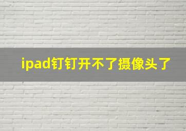 ipad钉钉开不了摄像头了