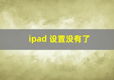 ipad 设置没有了