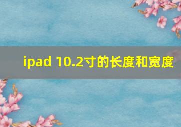 ipad 10.2寸的长度和宽度