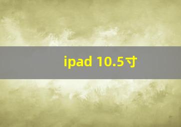 ipad 10.5寸