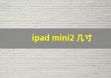 ipad mini2 几寸