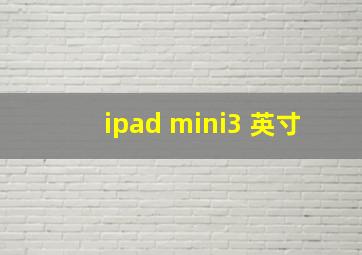 ipad mini3 英寸