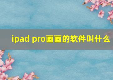 ipad pro画画的软件叫什么