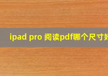 ipad pro 阅读pdf哪个尺寸好