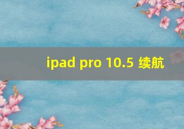 ipad pro 10.5 续航