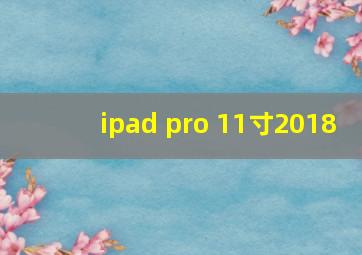 ipad pro 11寸2018