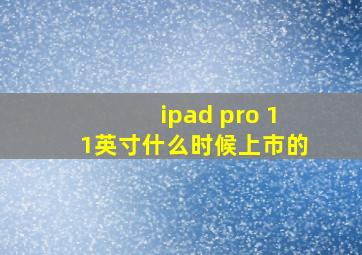 ipad pro 11英寸什么时候上市的